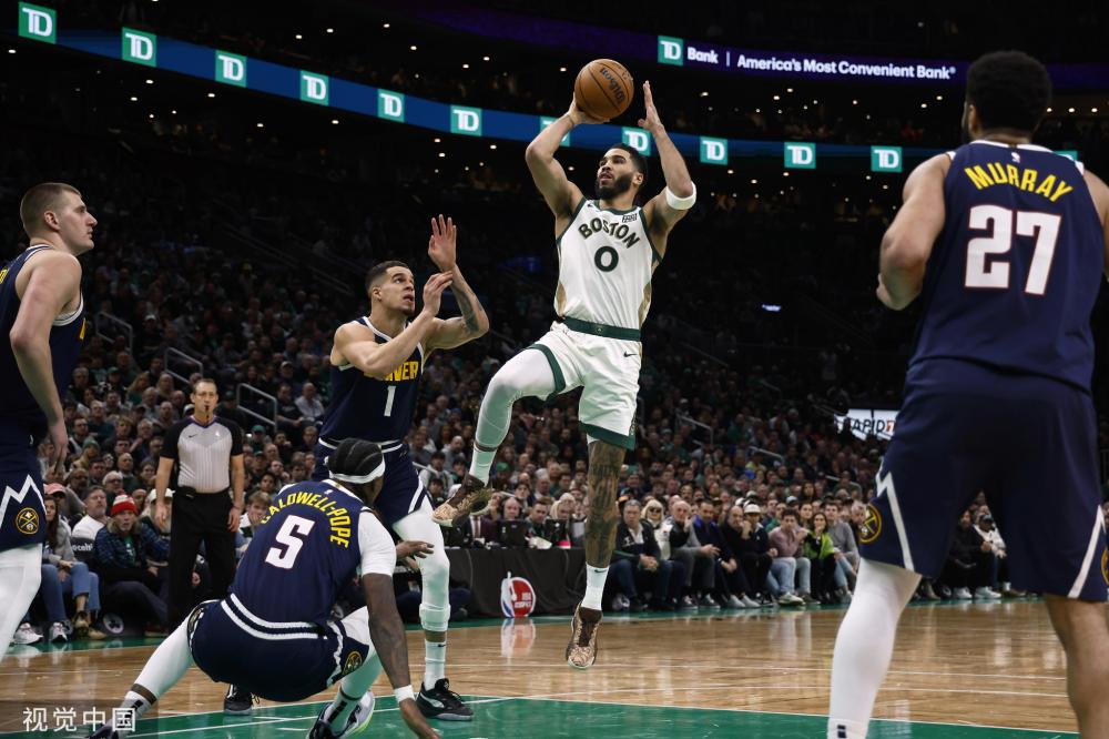 和观赏性 和观赏性