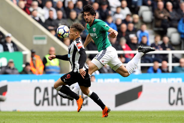 球队在赛季 球队在赛季